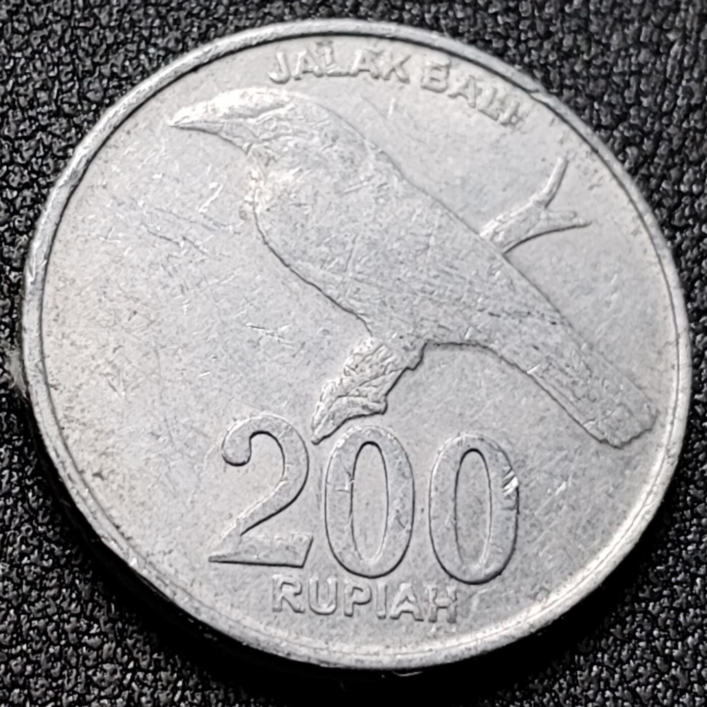 泉币菌-第133场-精品福利场 。