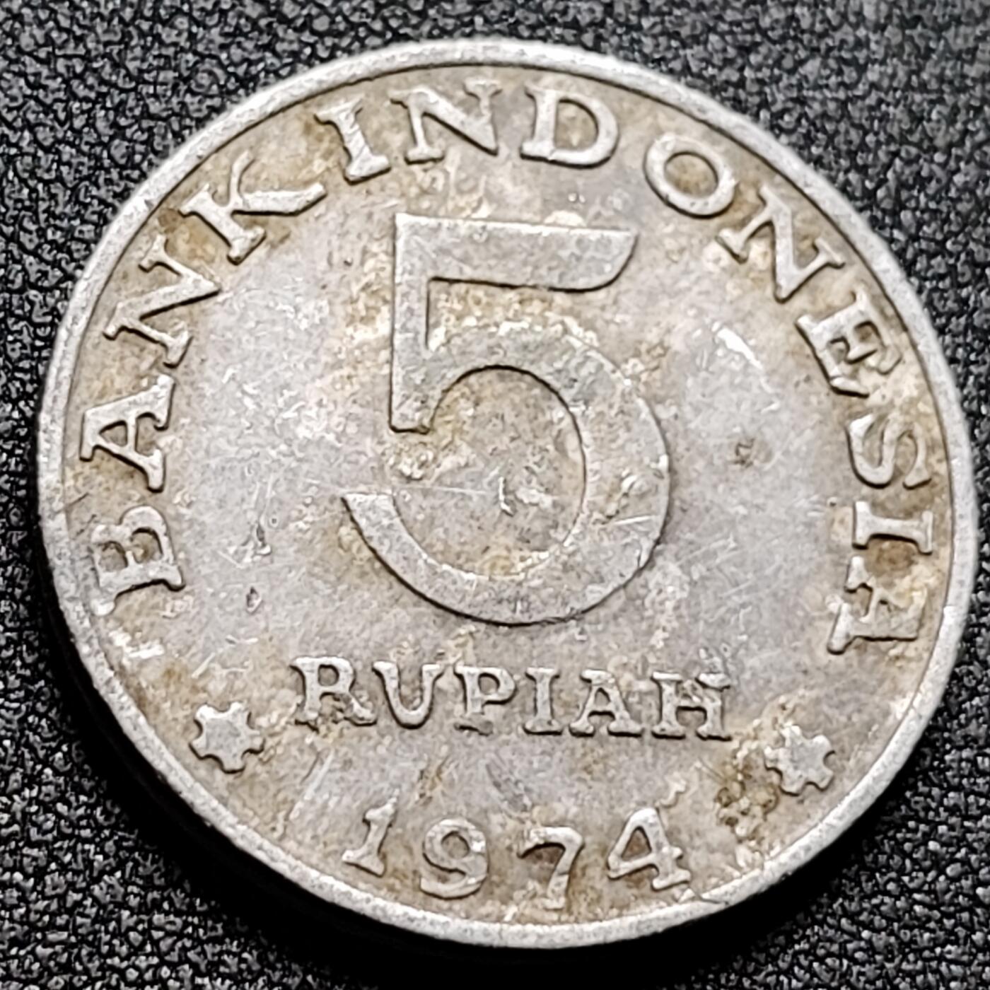 泉币菌-第133场-精品福利场 。