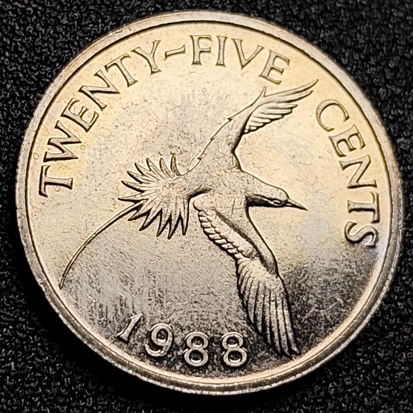 泉币菌-第134场-精品福利场 。