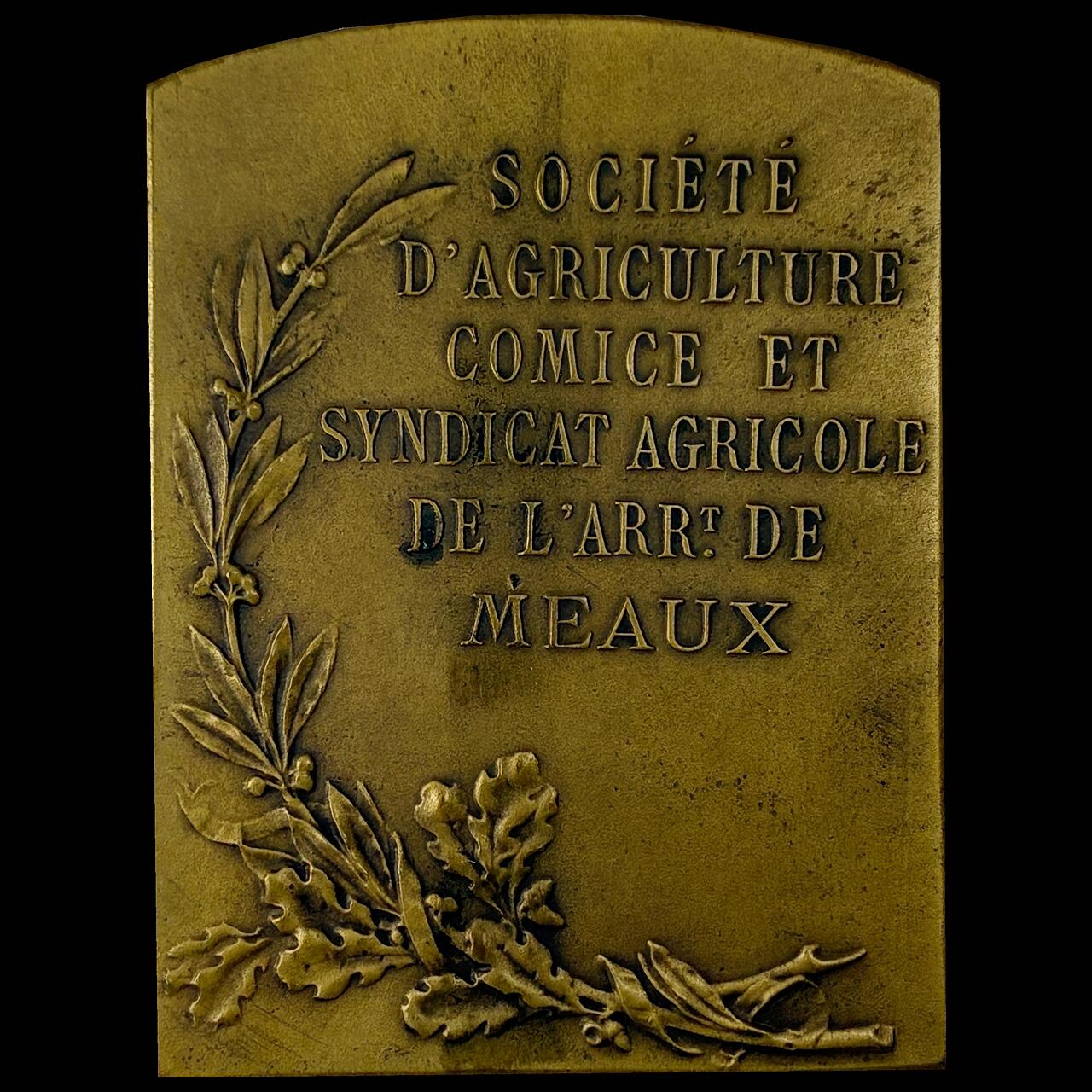 【雨安】【直播拍卖】【世界币章115期-裸币】2025-11-21 周五 19:30 保真 [章] France 章 法国 1928年 莫城农业学会农业博览会竞赛 铜章 高50mm, 宽38mm