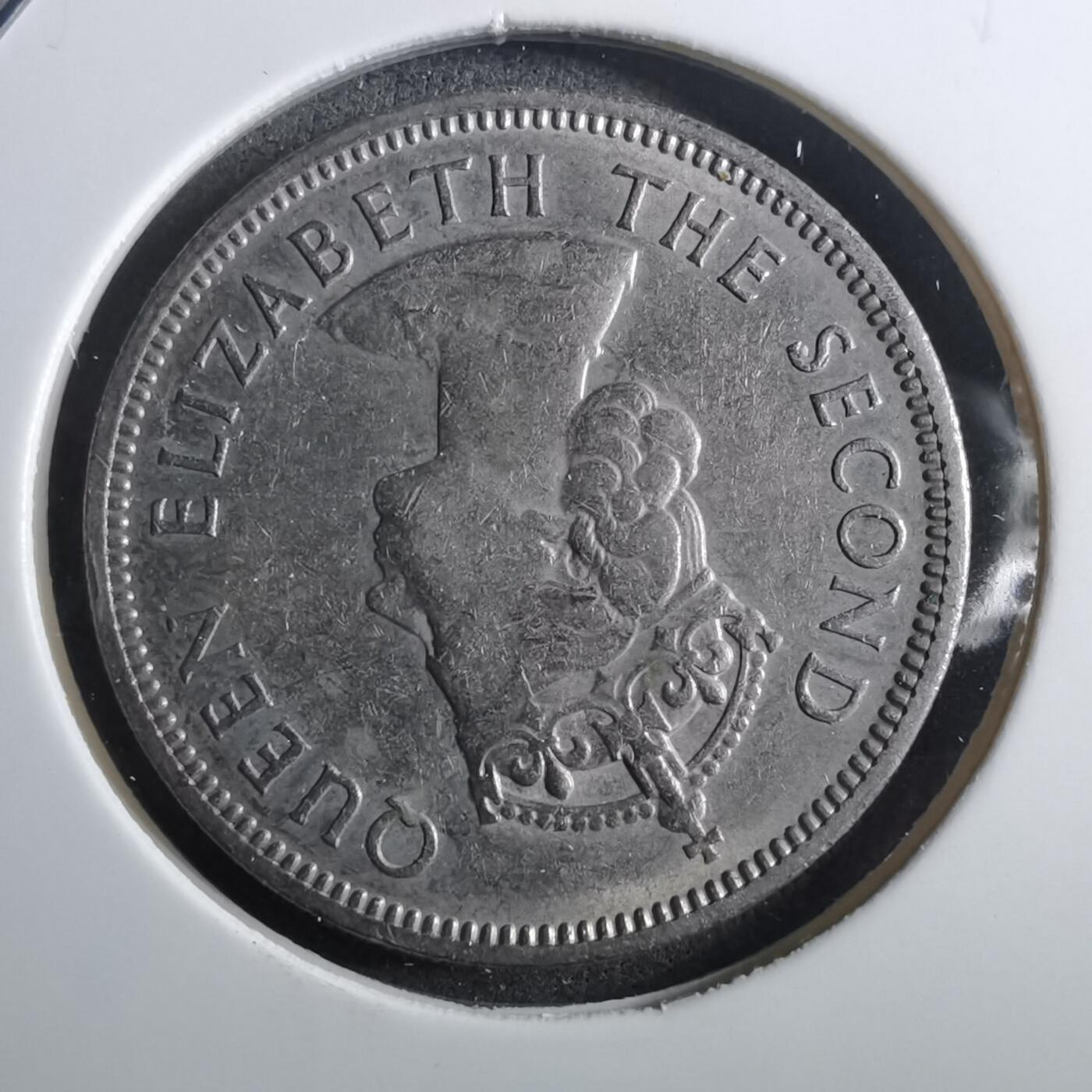 沼泽如烟--第910场