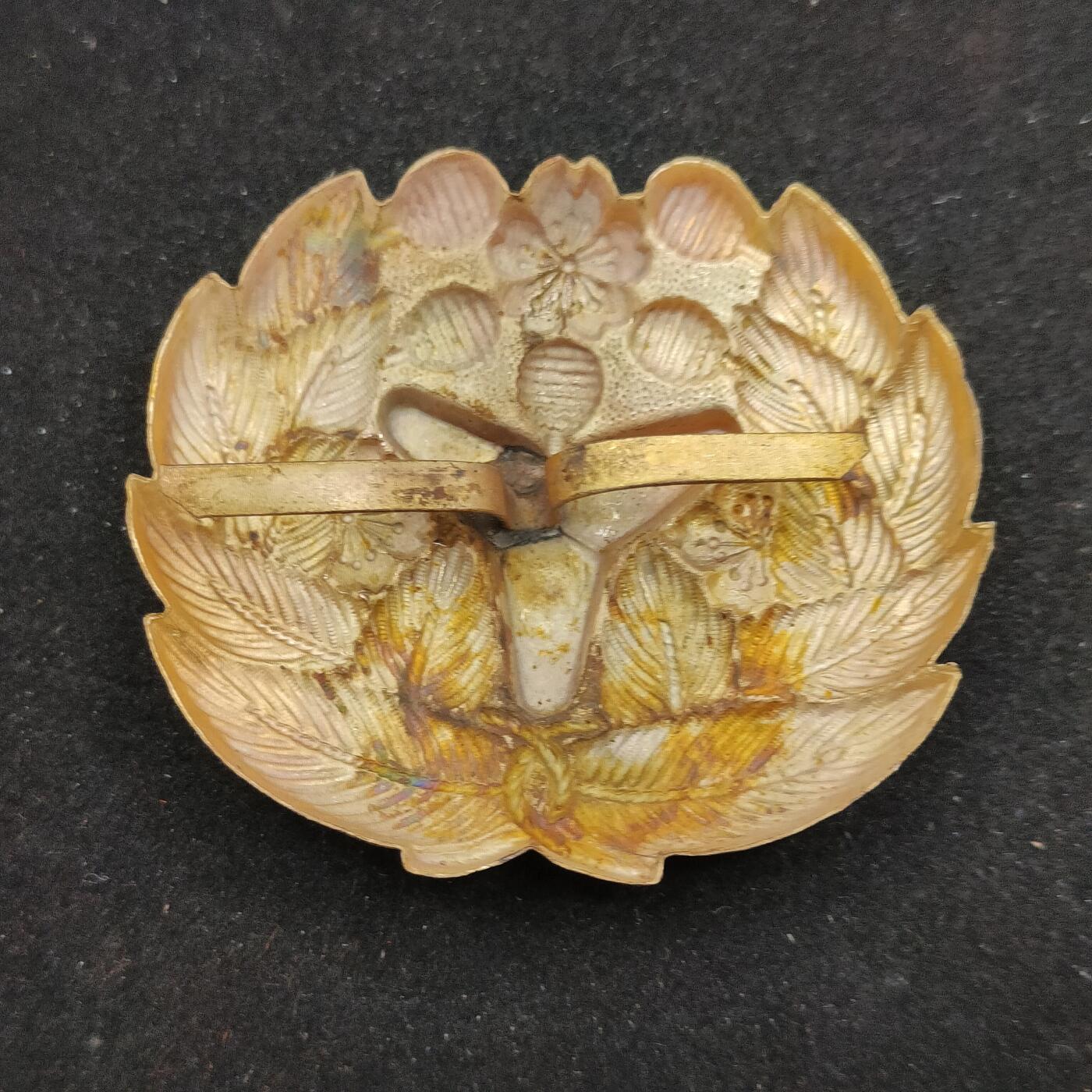 0元起拍勋章 第312期 咸鱼国勋章拍卖专场 11月23日（周日）下午6：00开始