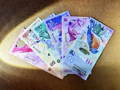 【Blue Auction】世界纸币精拍第753期——18级TOP拍卖/信誉/品质/专业/高效💫 - 【一组6张洋葱冠样钞】百慕大 2009年2-100元 全新UNC 设计精美