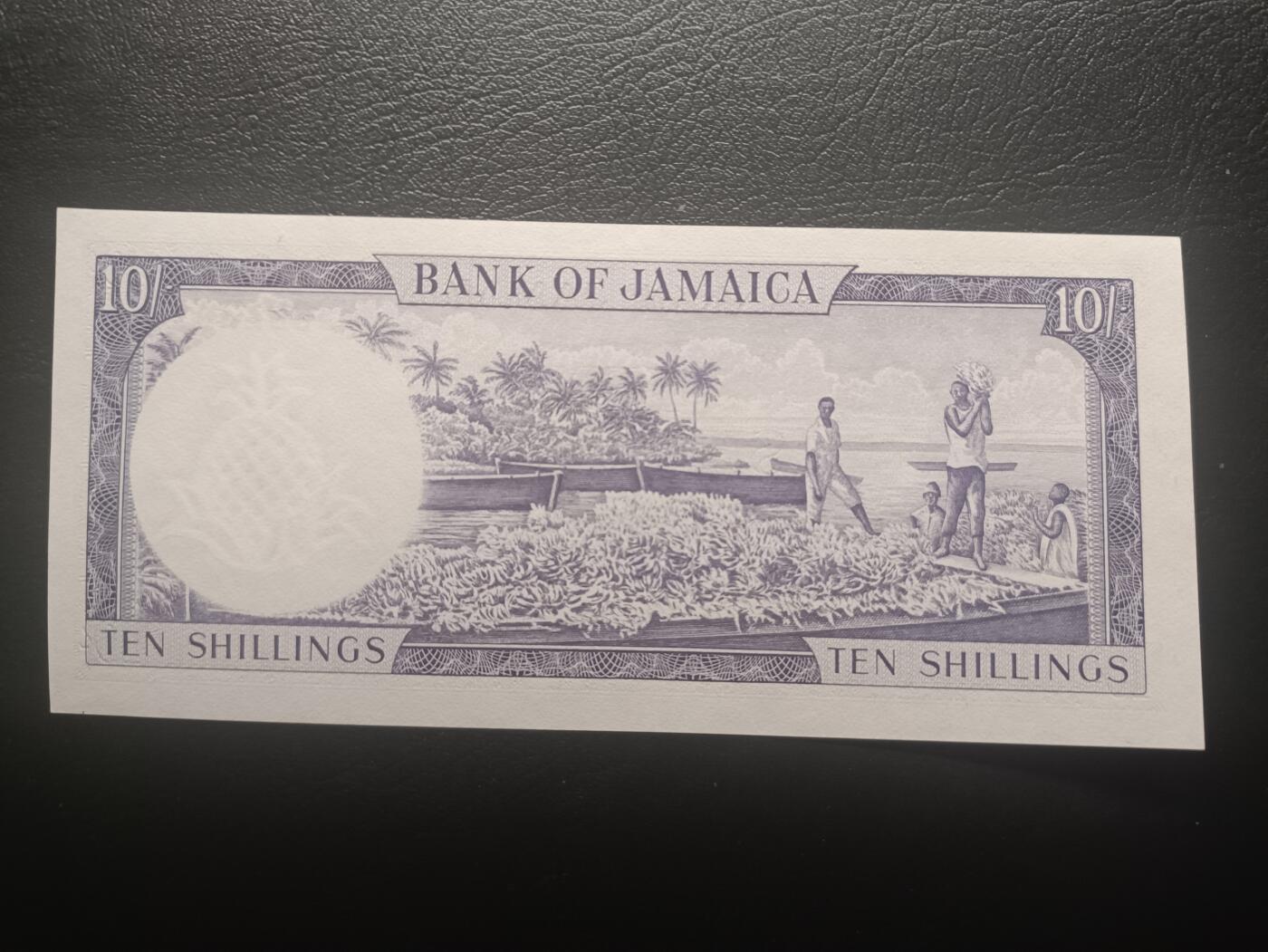 2025十一月第五期，总第203期