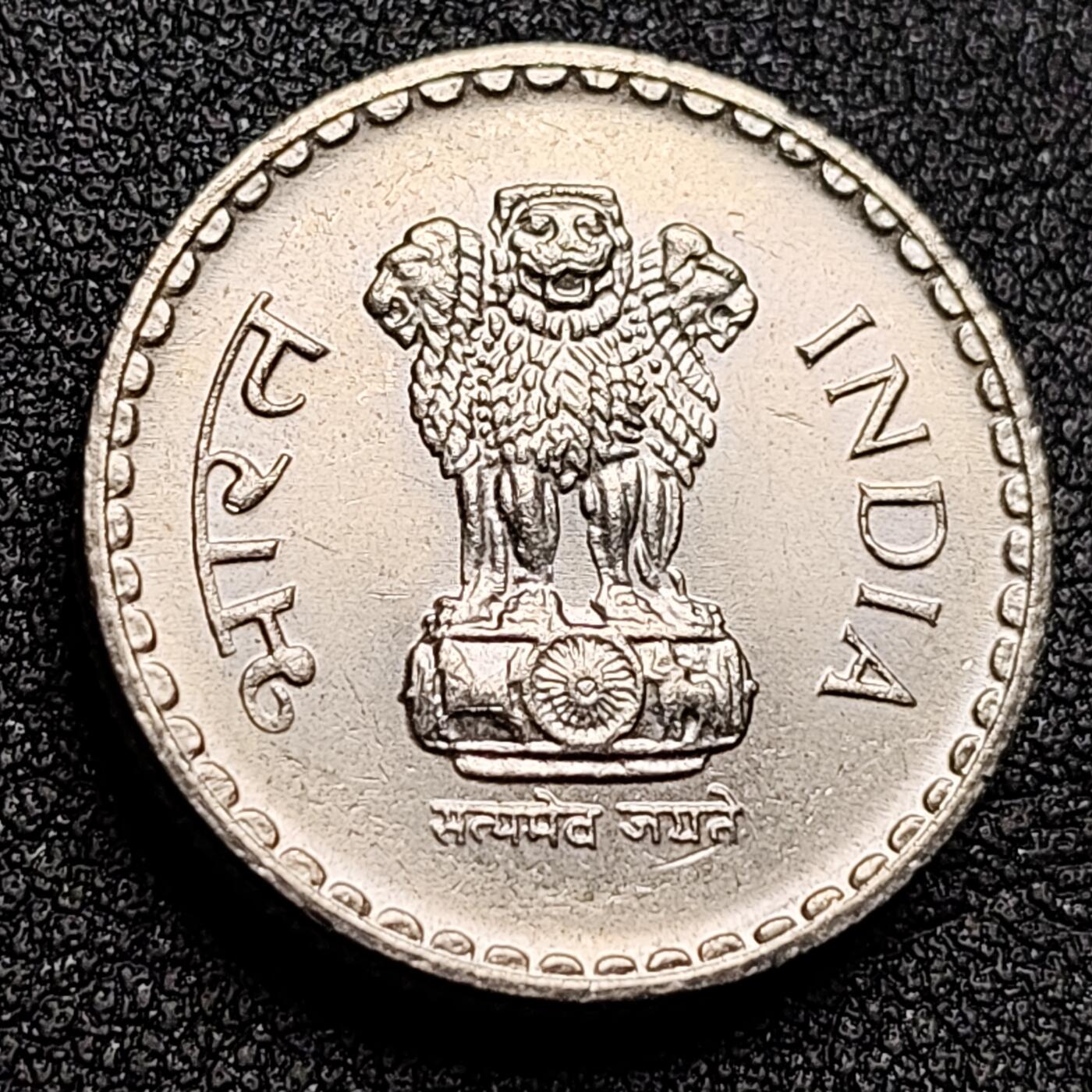 泉币菌-第134场-精品福利场 。