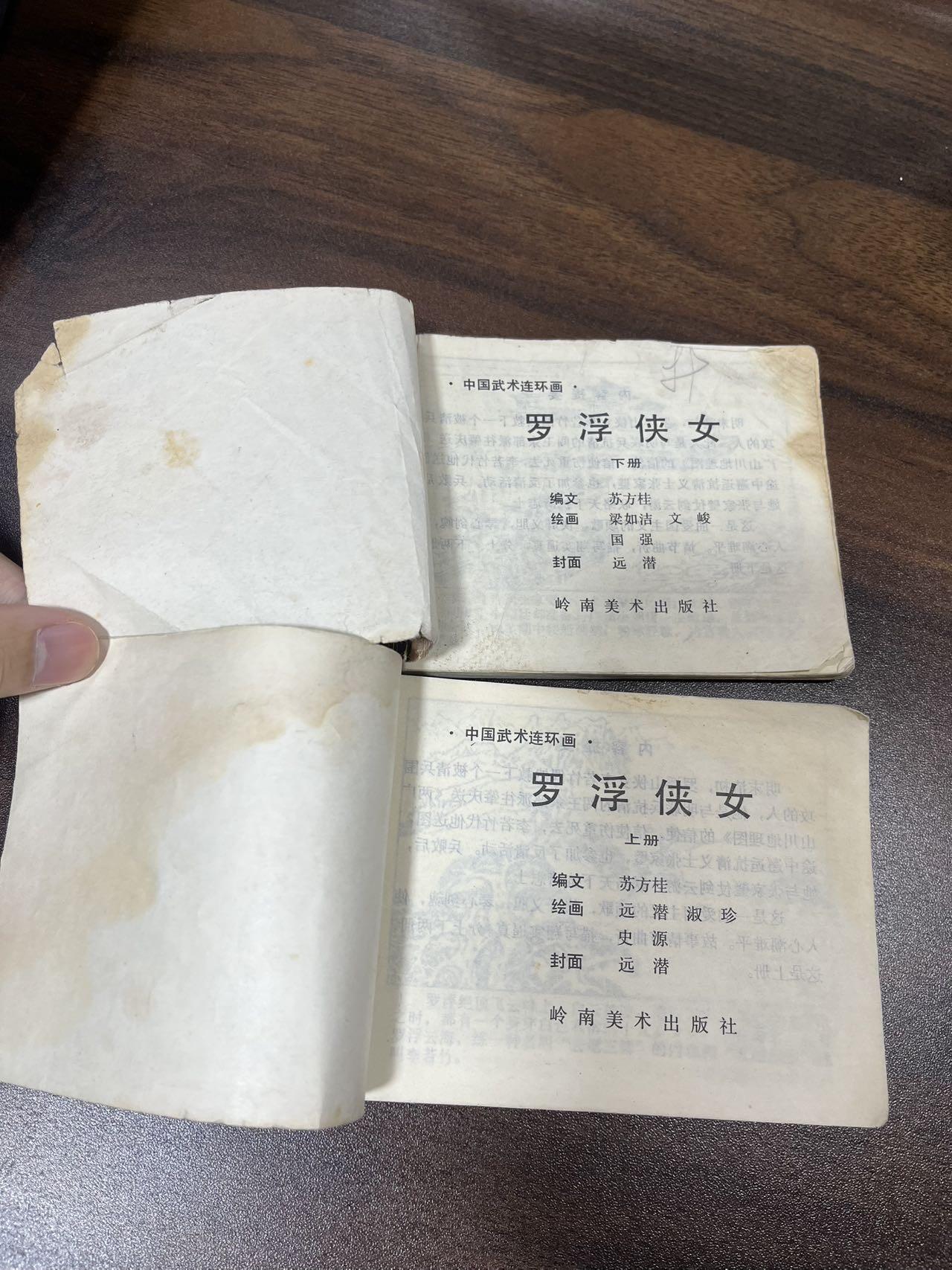 小人书拍卖（第二期） 罗浮侠女上下册2本合拍