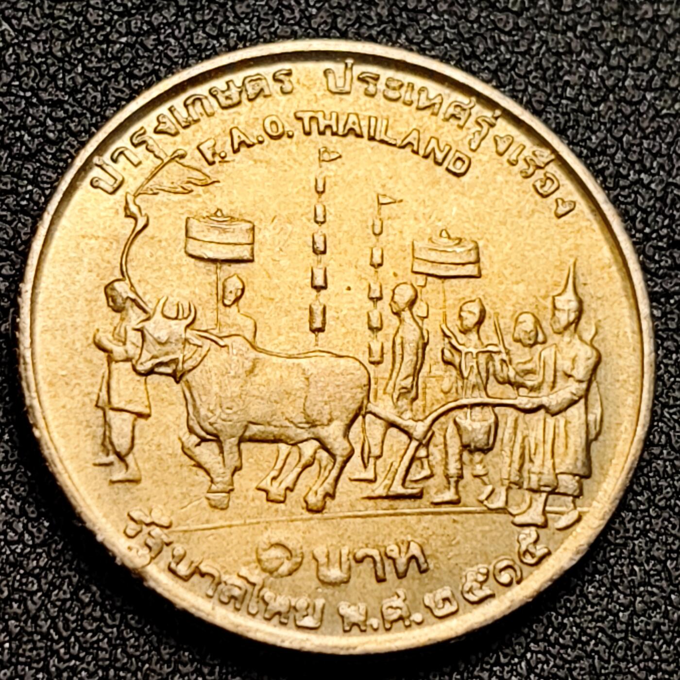 泉币菌-第135场-精品福利场 。