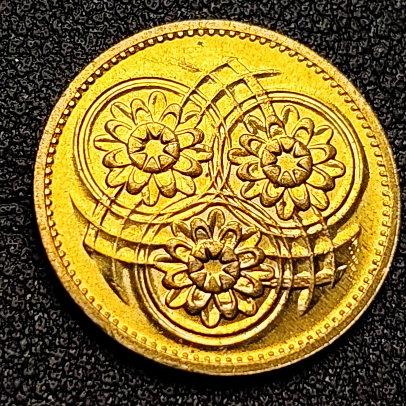 泉币菌-第135场-精品福利场 。