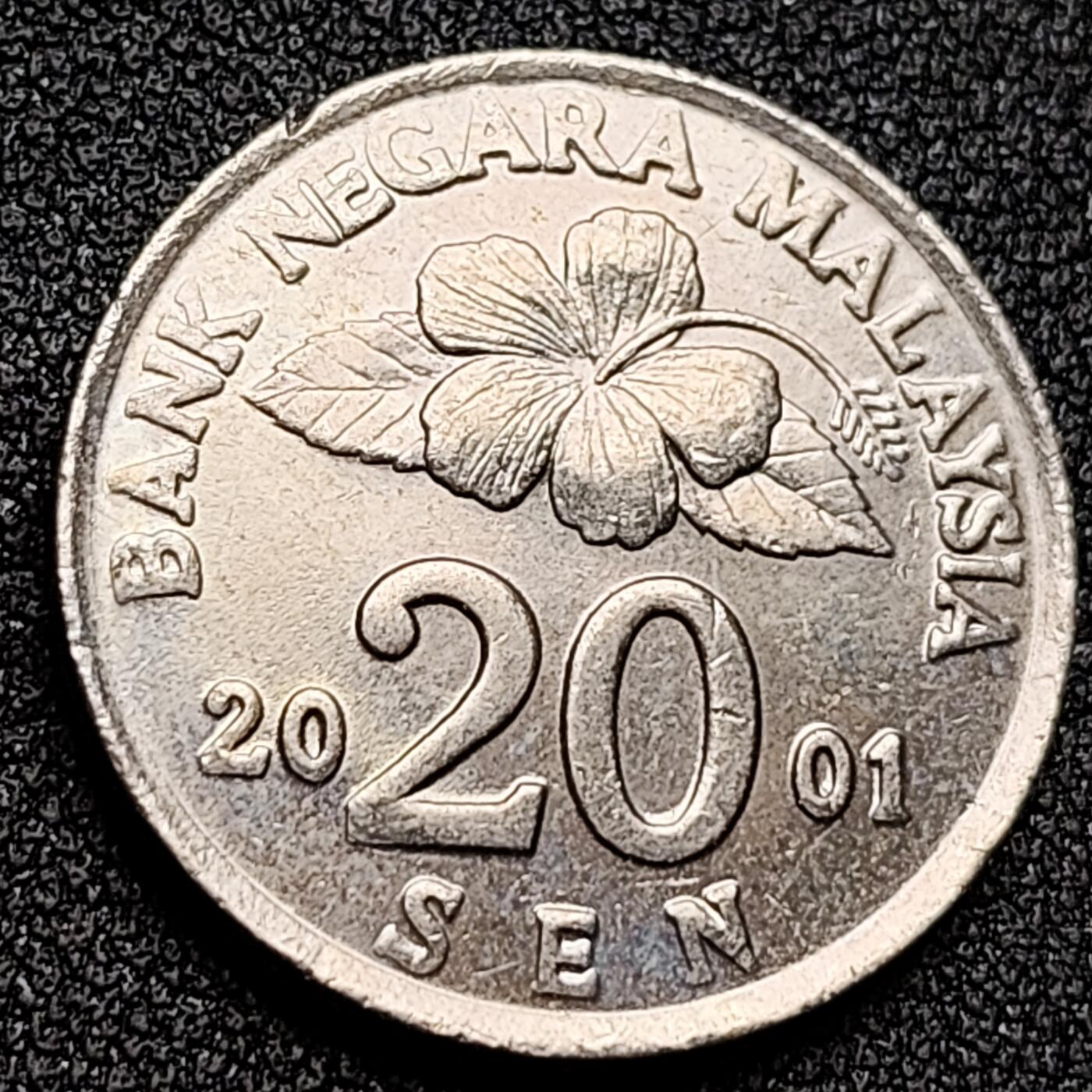 泉币菌-第135场-精品福利场 。