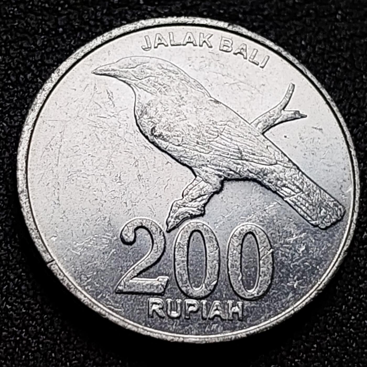 泉币菌-第134场-精品福利场 。