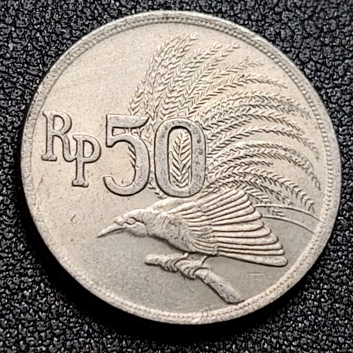 泉币菌-第134场-精品福利场 。