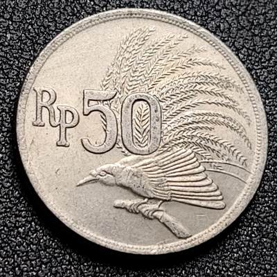 泉币菌-第134场-精品福利场 - 光品 印尼50盾 天堂鸟 年份随机 直径20MM 