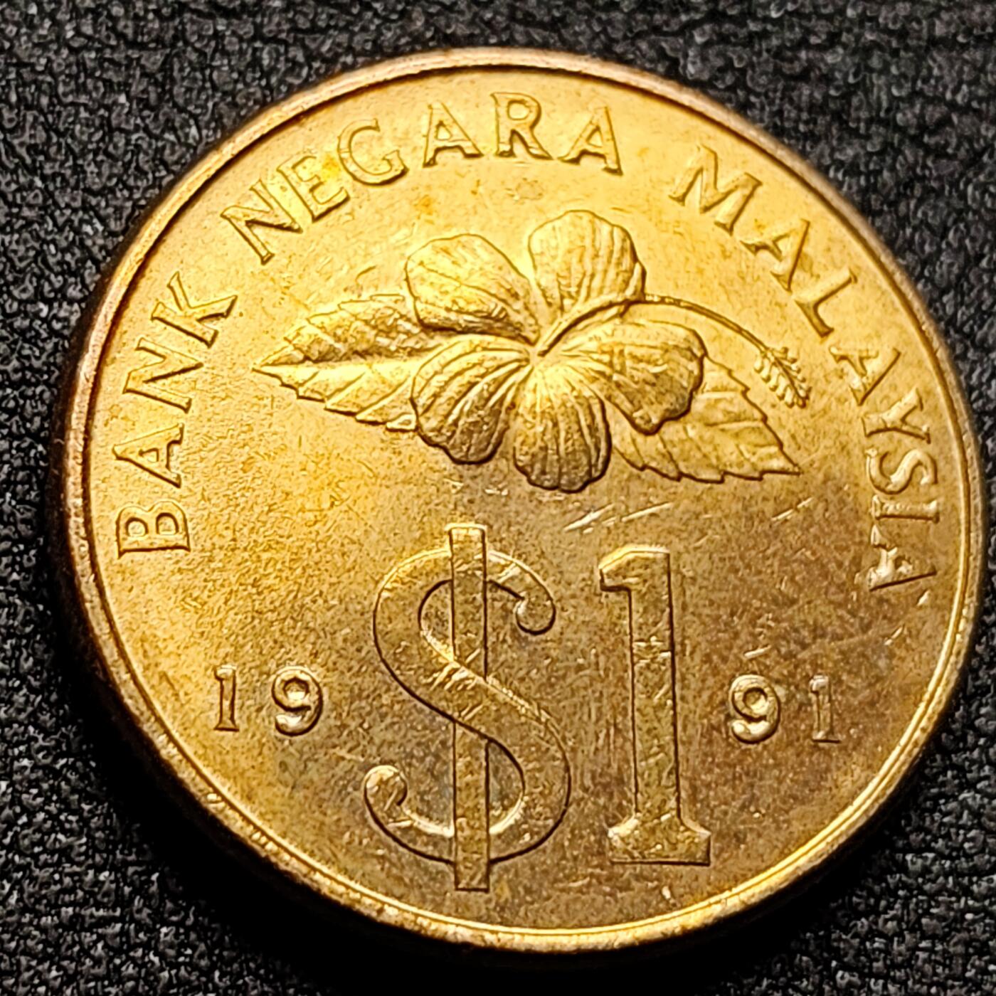 泉币菌-第134场-精品福利场 。