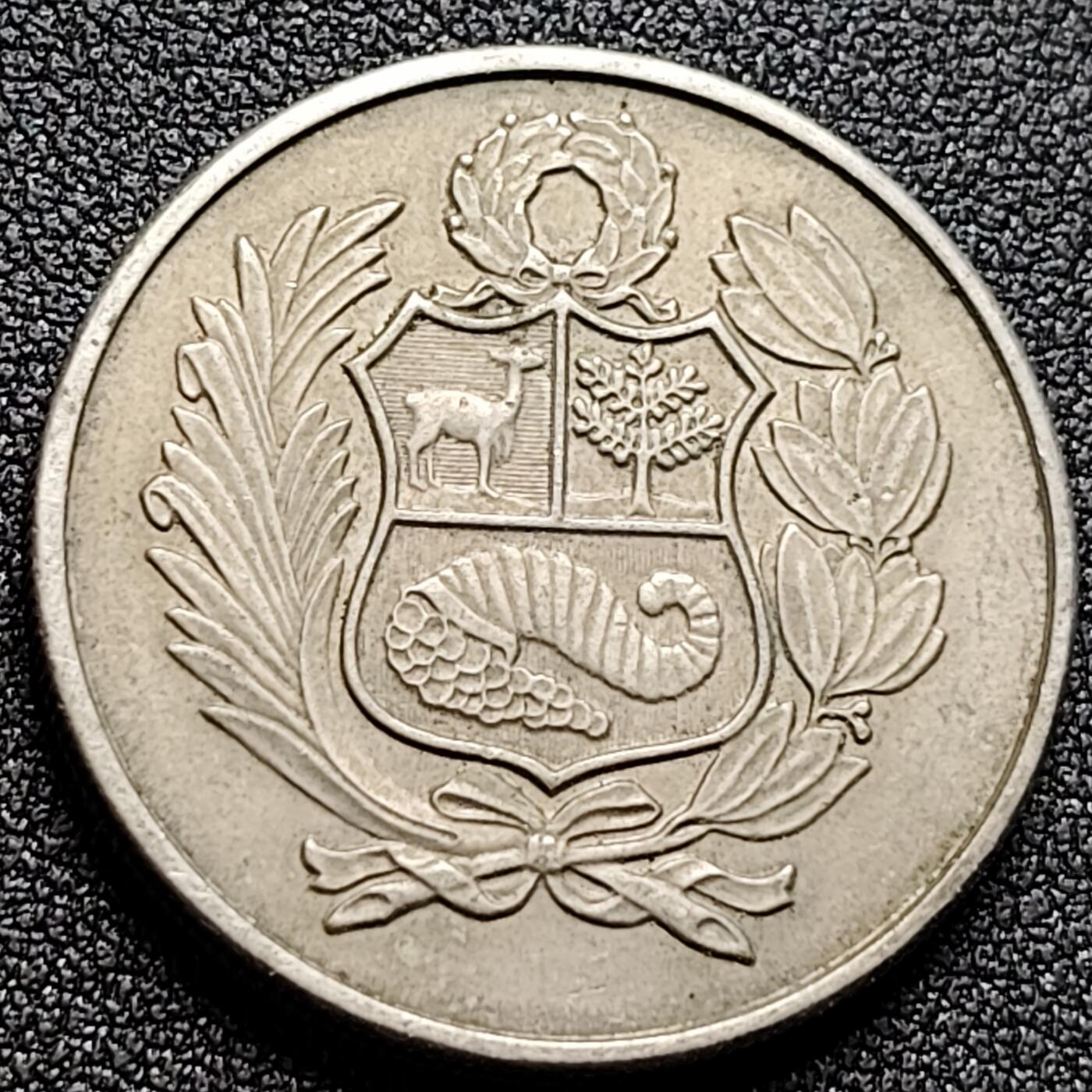 泉币菌-第135场-精品福利场 。