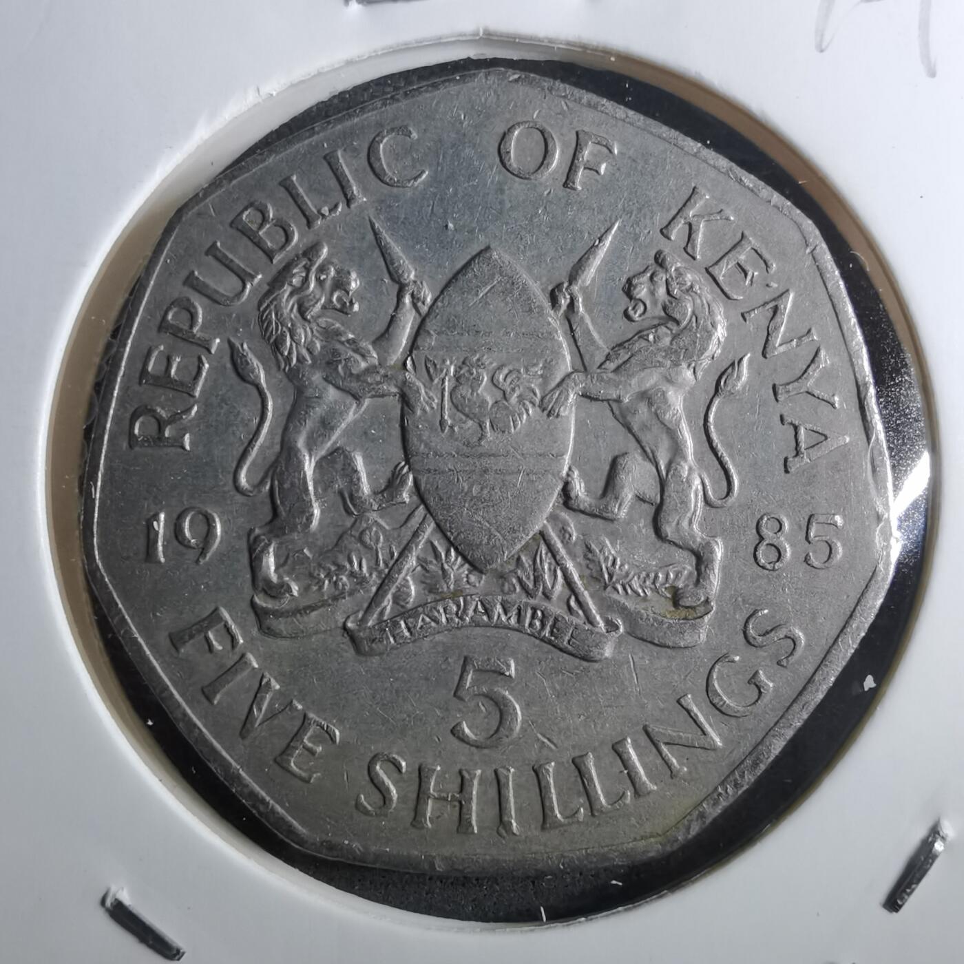 沼泽如烟--第910场 肯尼亚1985年5先令