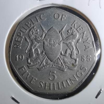沼泽如烟--第910场 - 肯尼亚1985年5先令