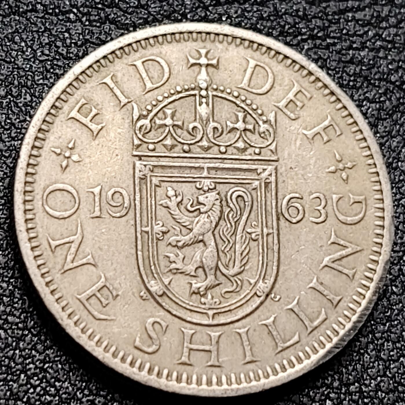 泉币菌-第135场-精品福利场 。