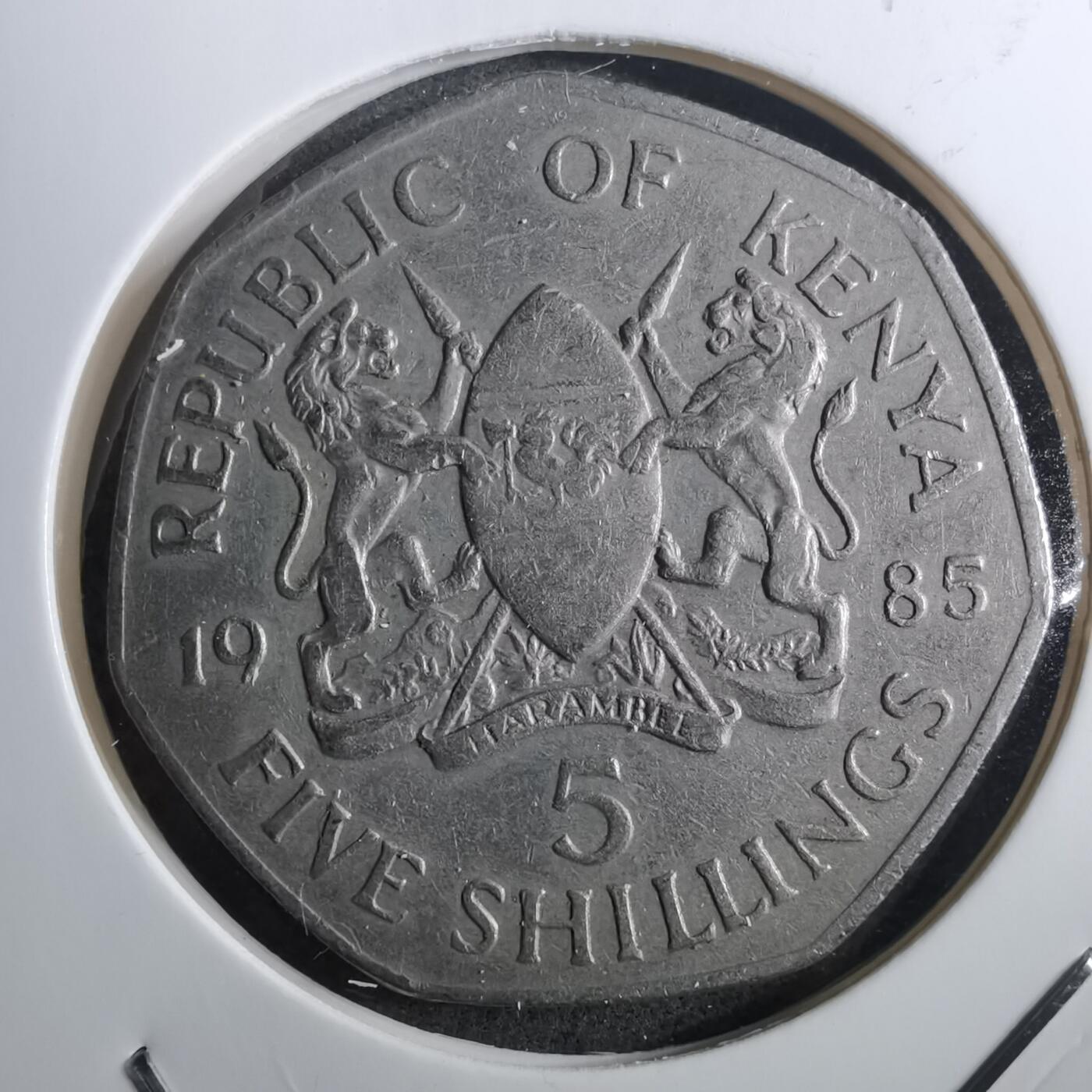 沼泽如烟--第910场 肯尼亚1985年5先令