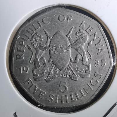 沼泽如烟--第910场 - 肯尼亚1985年5先令