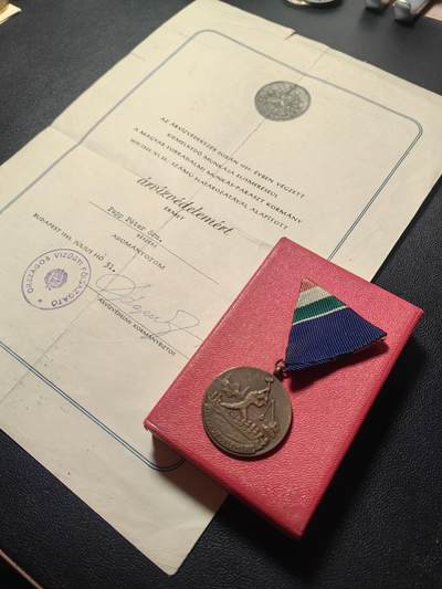 靖甫拍卖第十一场 - 匈牙利1965多瑙河抗洪奖章带大证书 非常少见