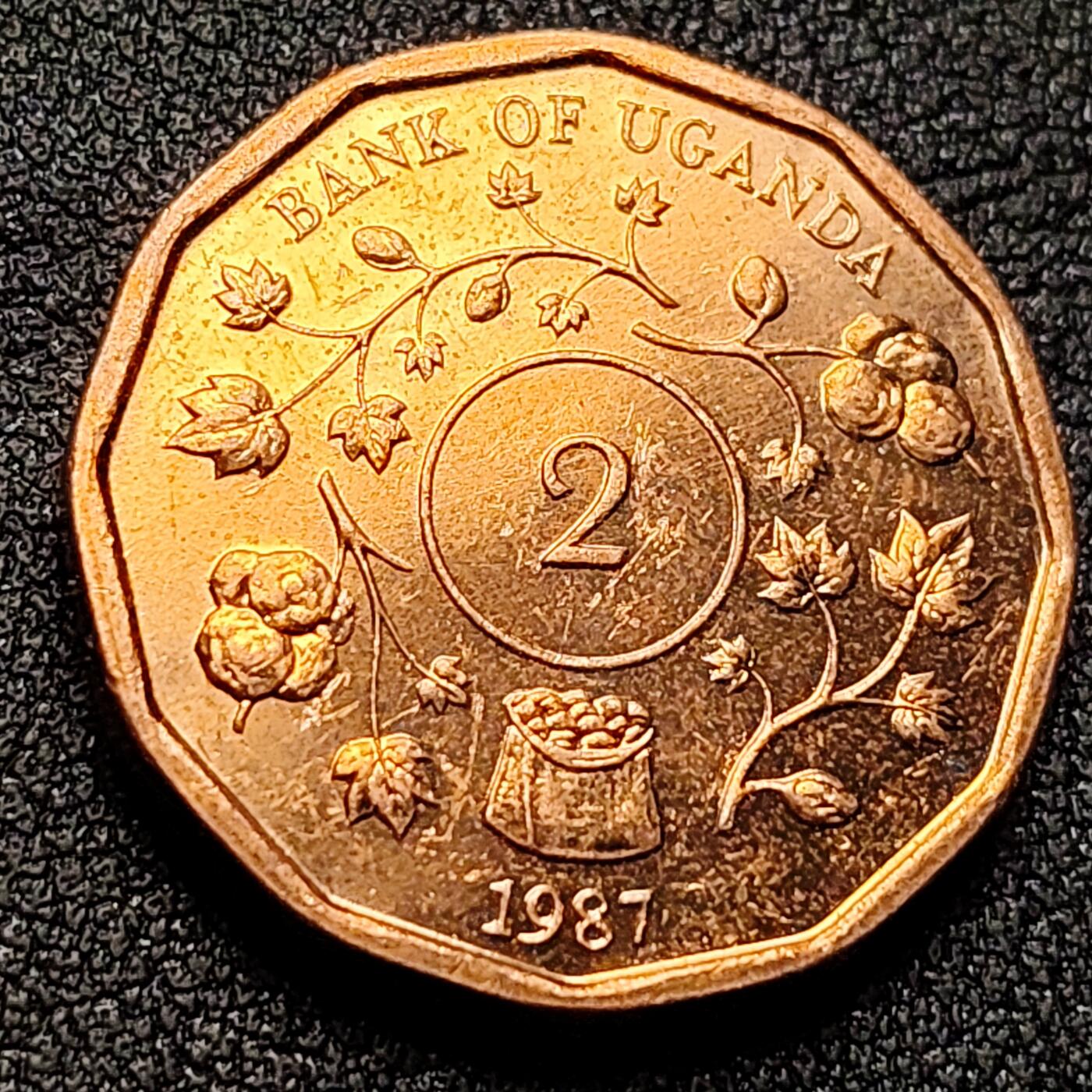 泉币菌-第134场-精品福利场 。