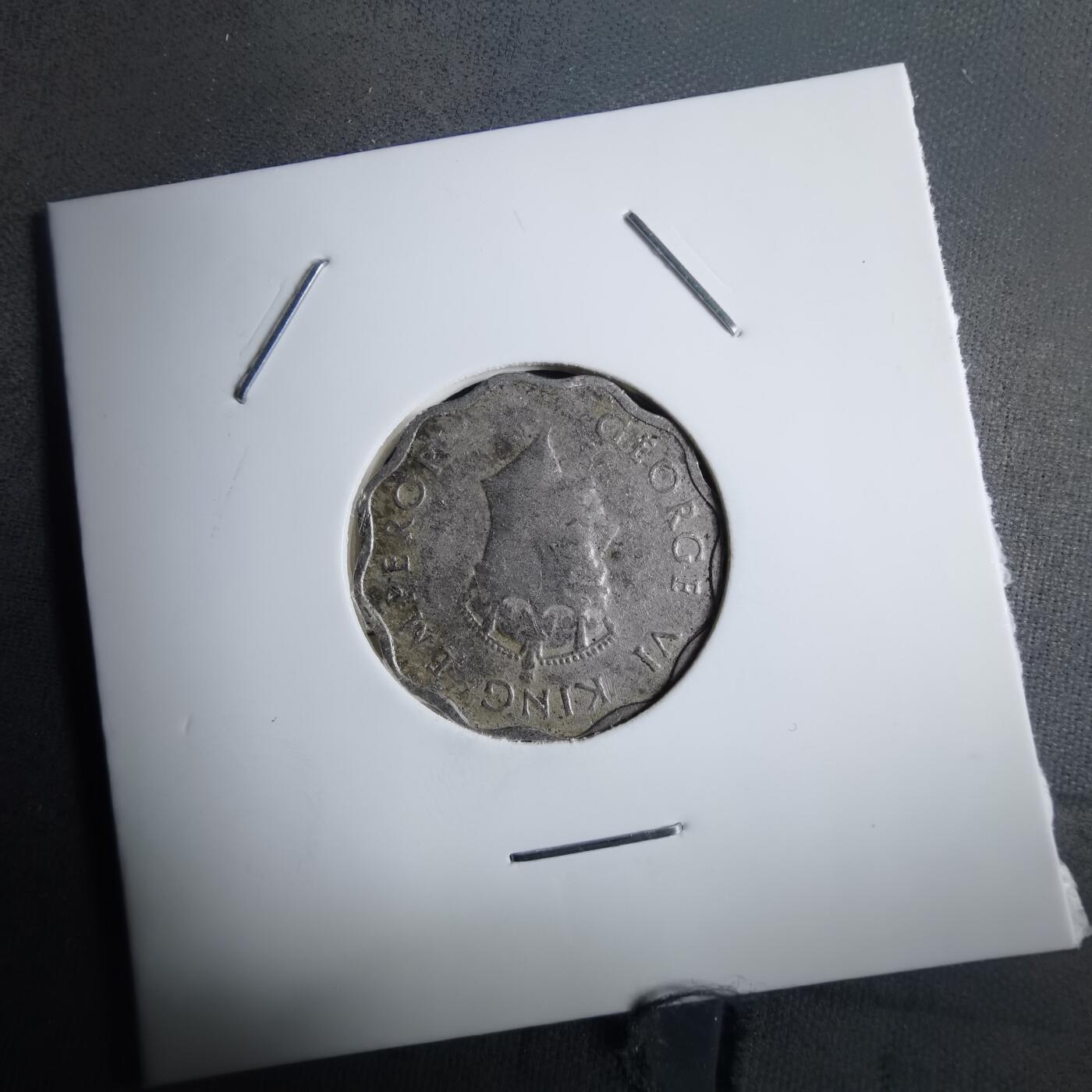 沼泽如烟--第910场