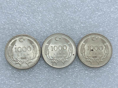 第一海外回流一元起拍收藏 散集专场  第270期 - 土耳其1000里拉硬币 3枚 原光品