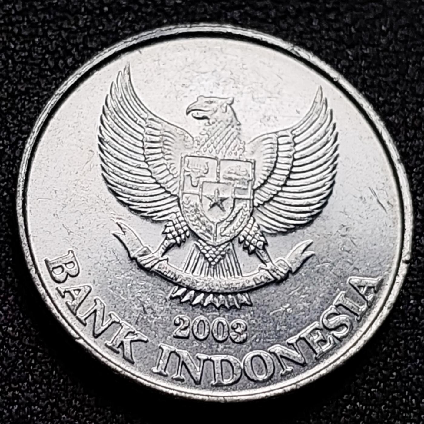 泉币菌-第134场-精品福利场 。