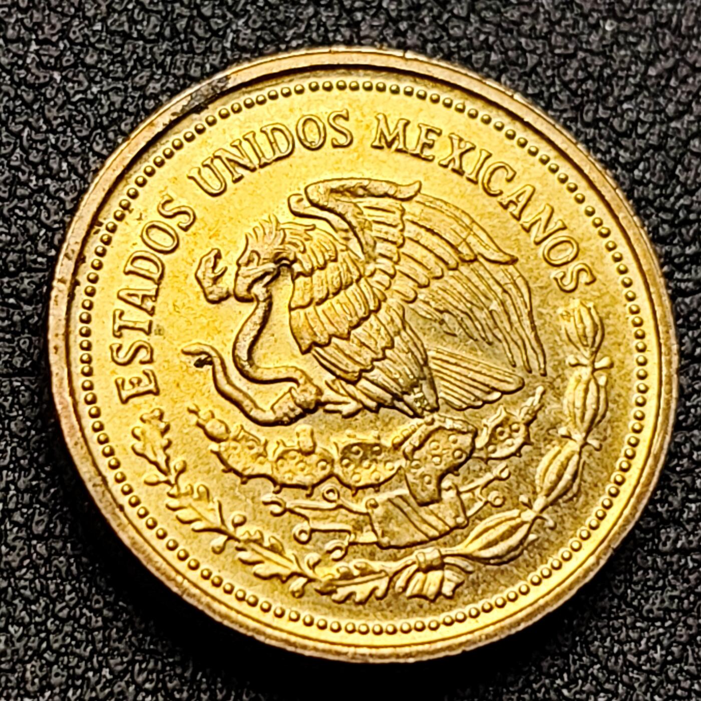 泉币菌-第135场-精品福利场 。