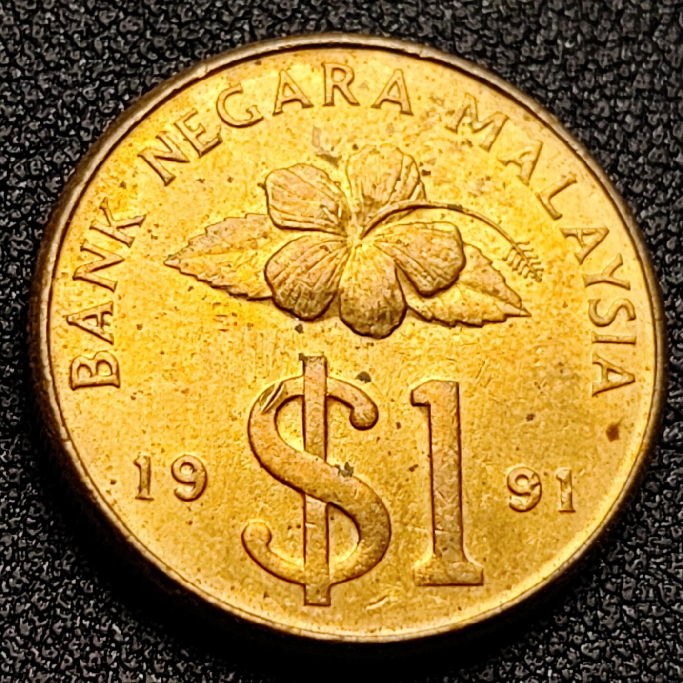 泉币菌-第135场-精品福利场 。