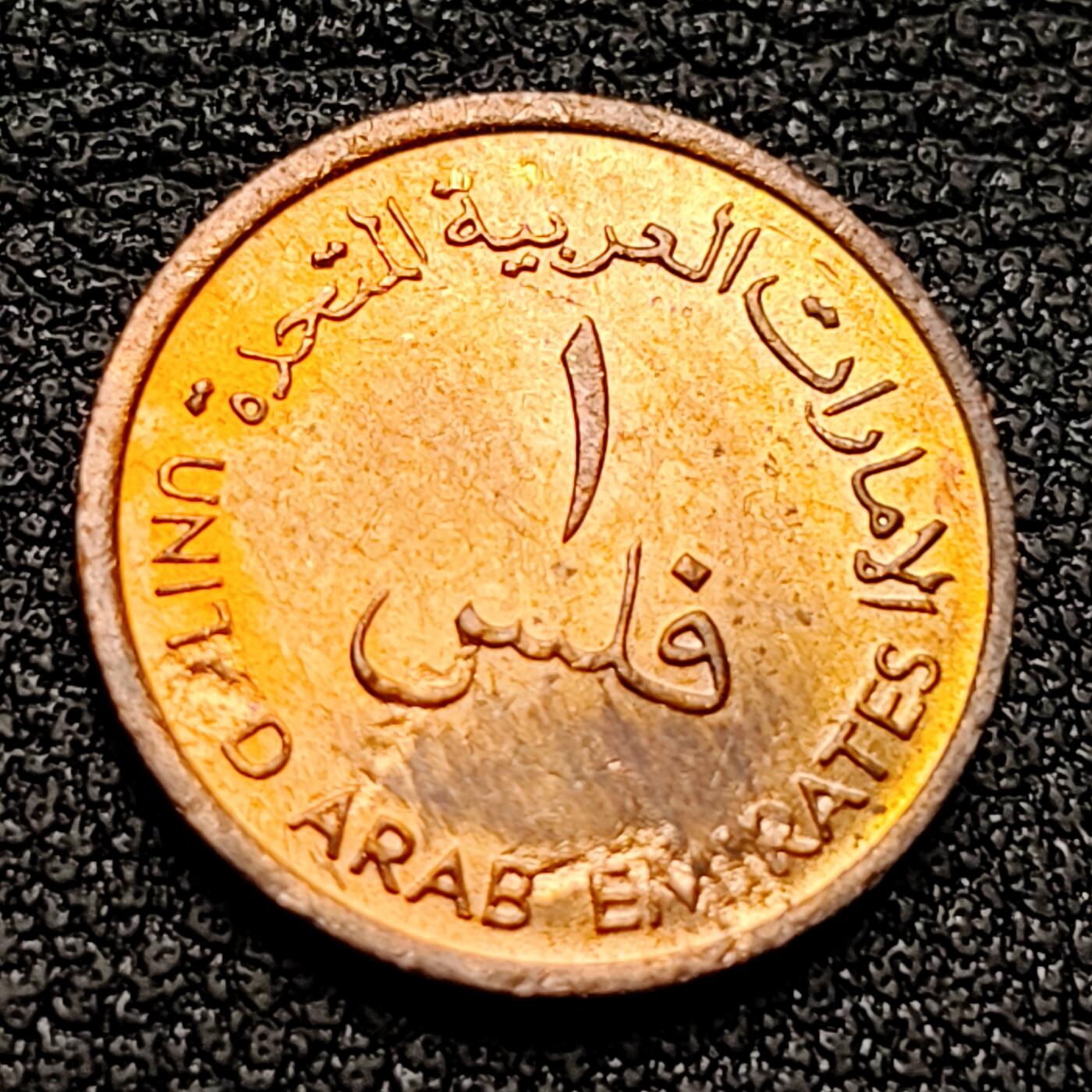 泉币菌-第135场-精品福利场 。