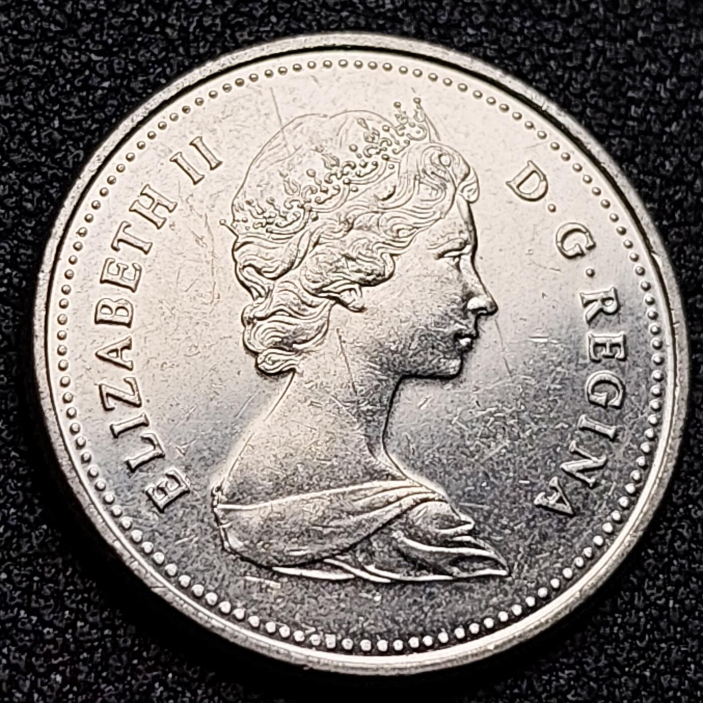 泉币菌-第135场-精品福利场 。