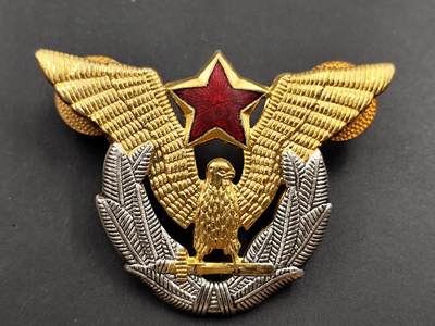 11月18日奖章钱币专场 - 南斯拉夫空军徽章