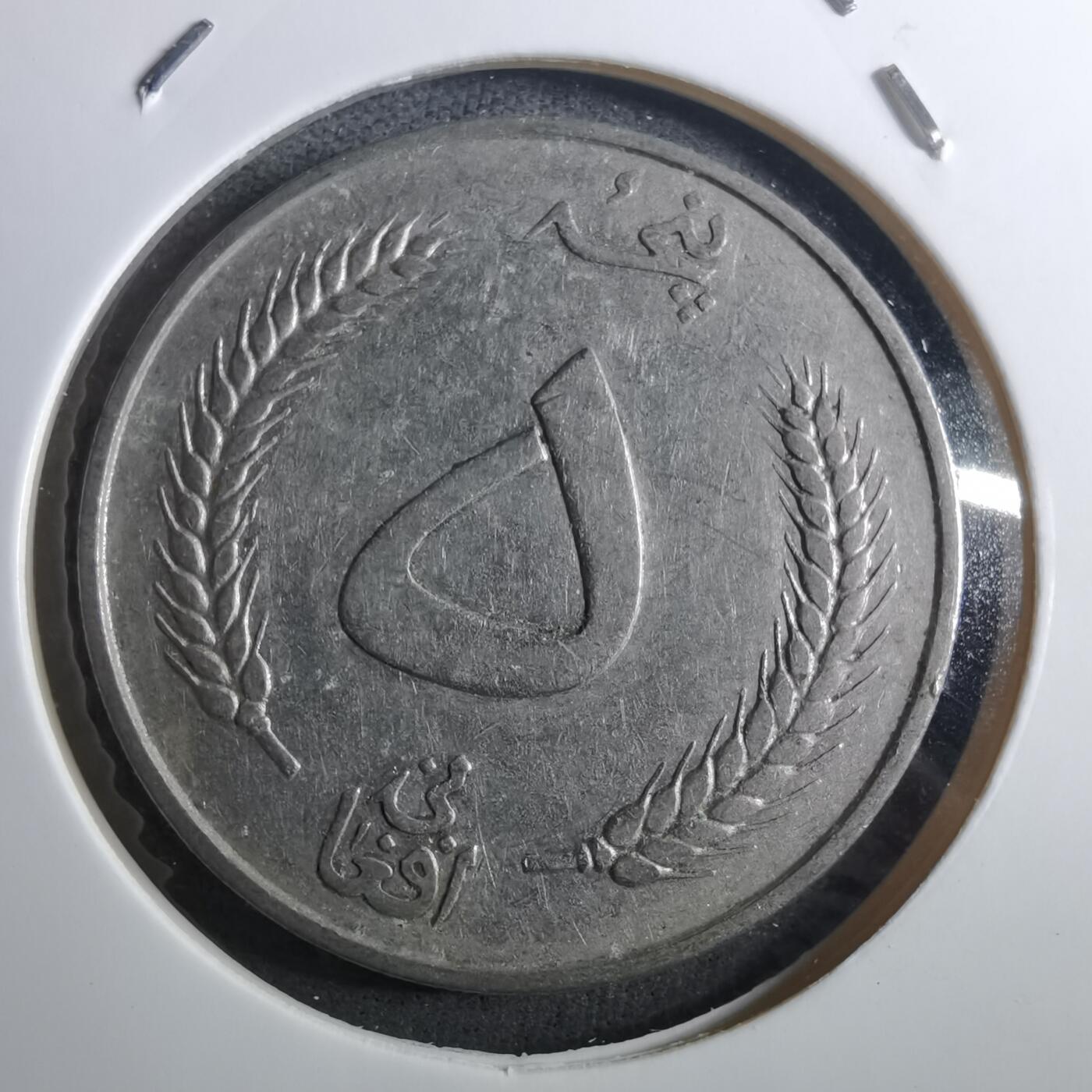 沼泽如烟--第910场 阿富汗