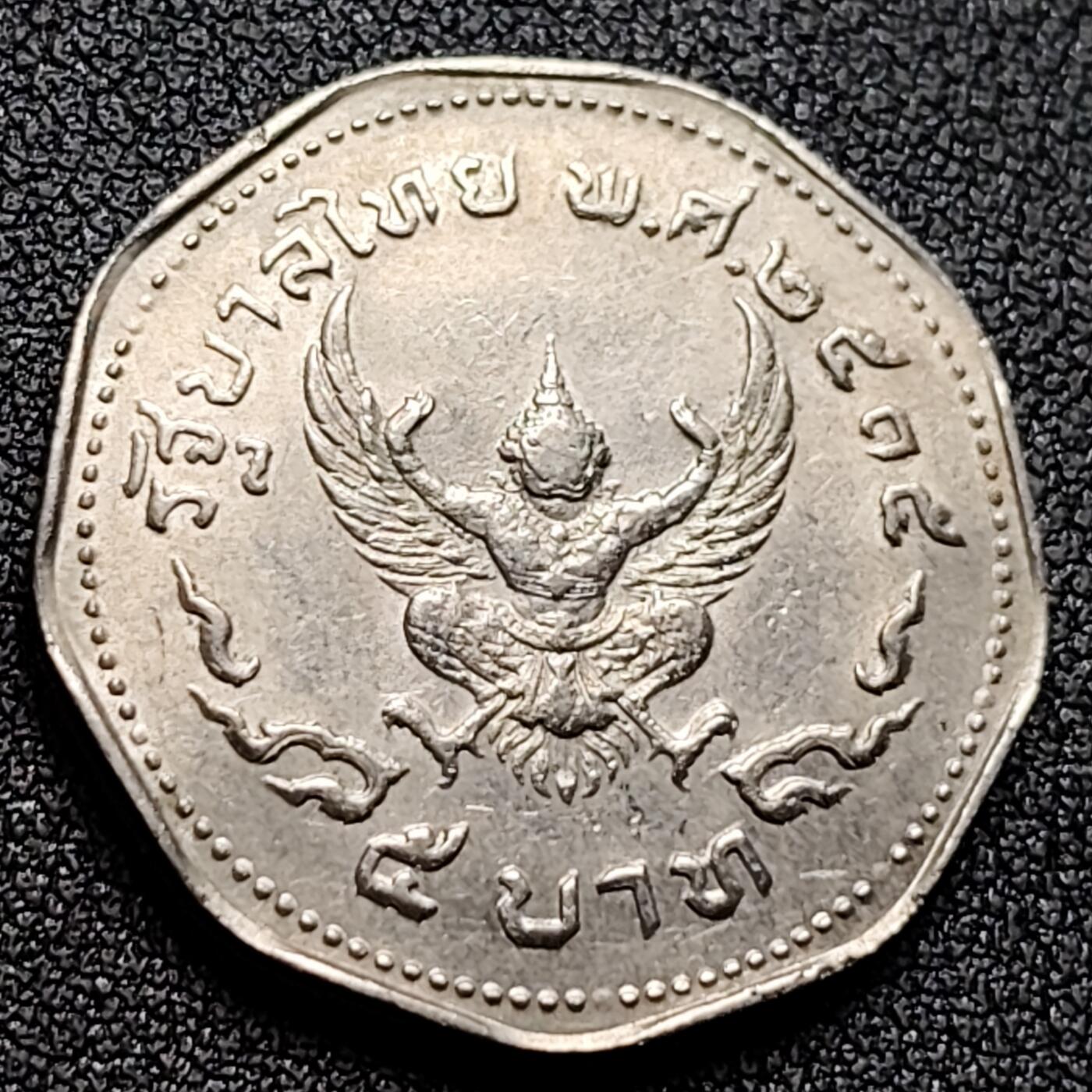 泉币菌-第135场-精品福利场 。