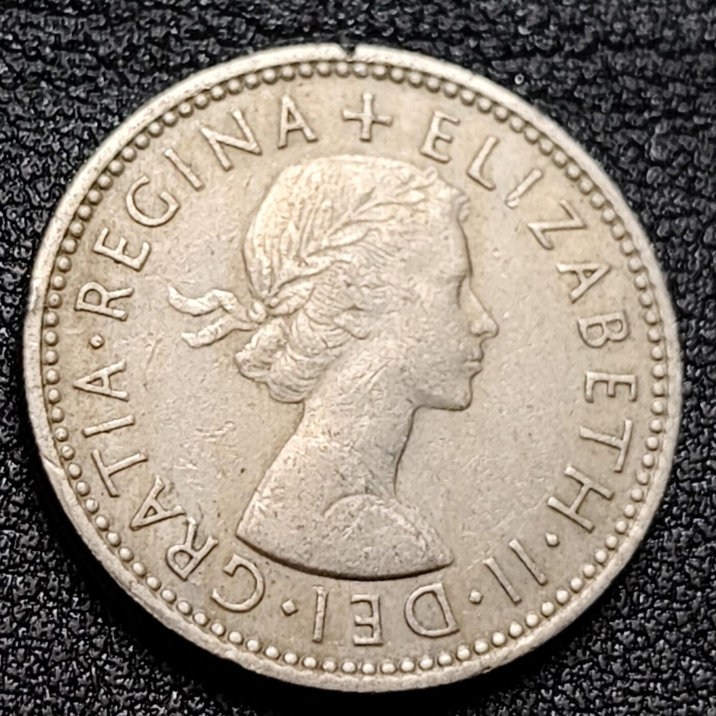 泉币菌-第135场-精品福利场 。