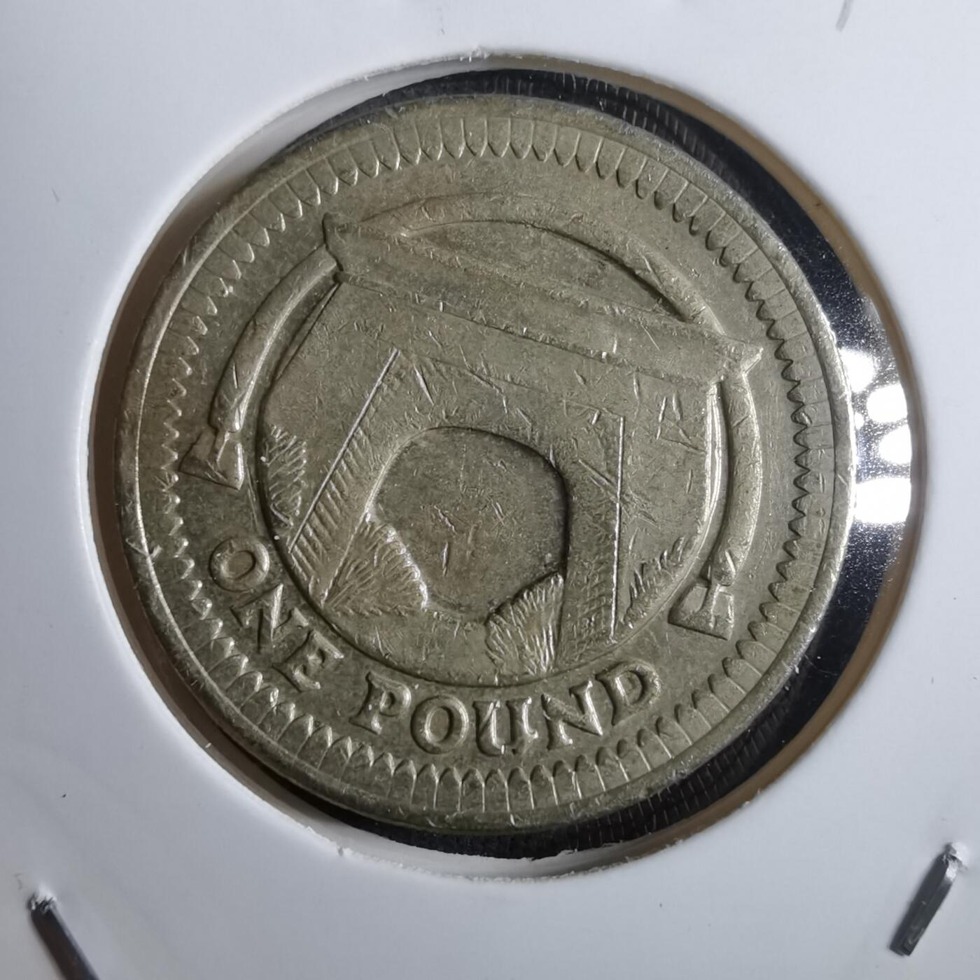 沼泽如烟--第910场 英国2006年一磅