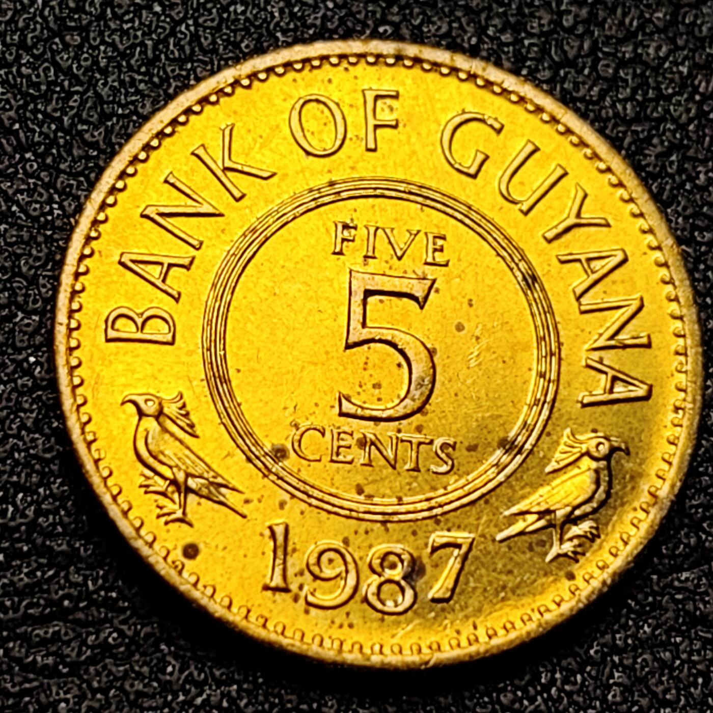 泉币菌-第135场-精品福利场 。