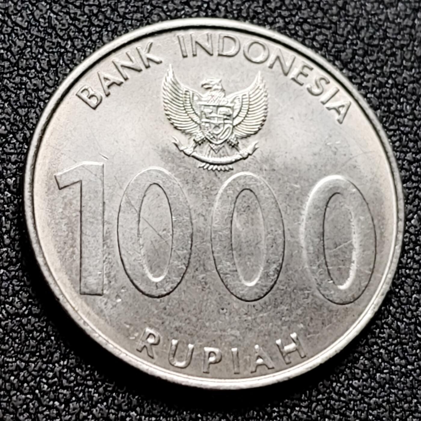 泉币菌-第133场-精品福利场 。