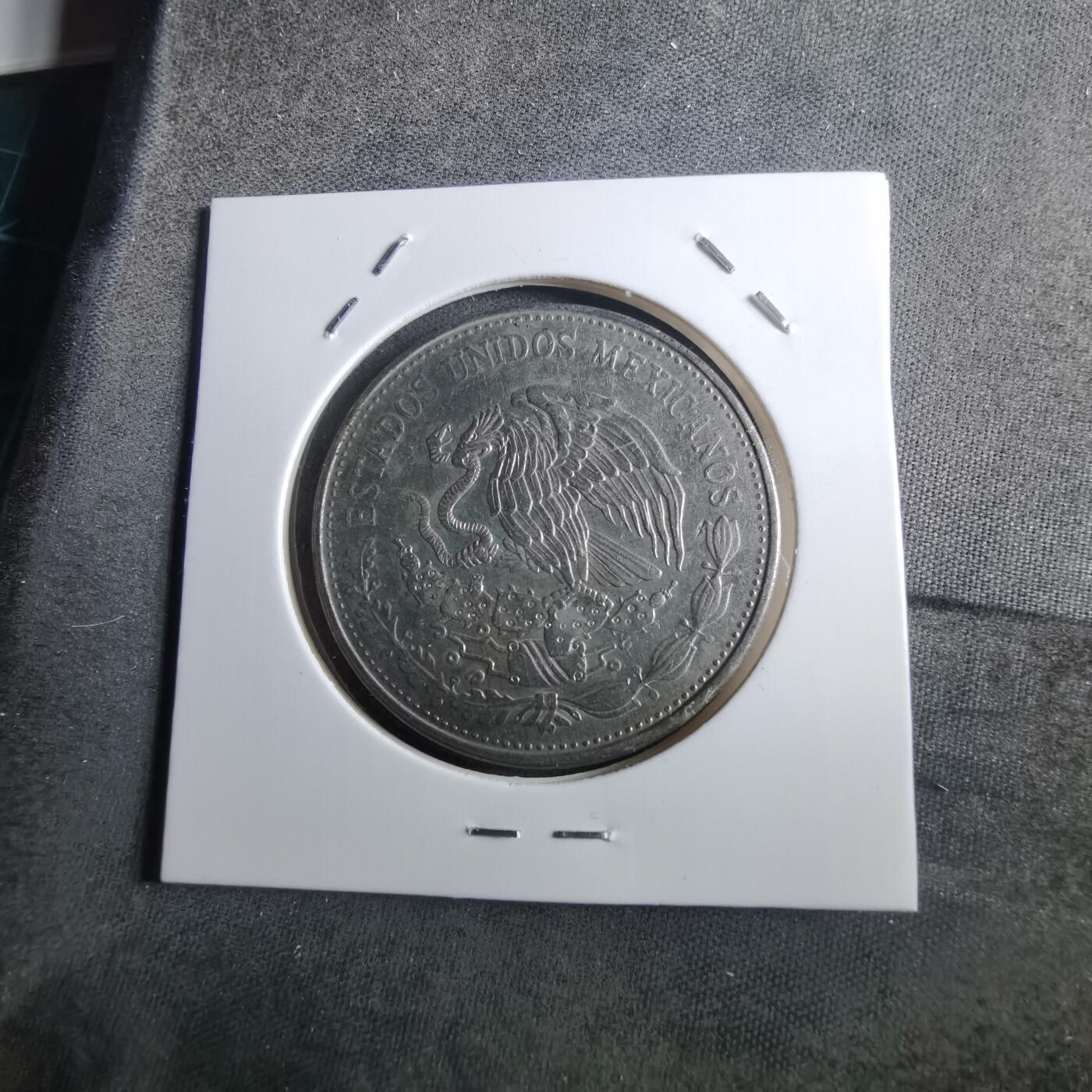 沼泽如烟--第910场