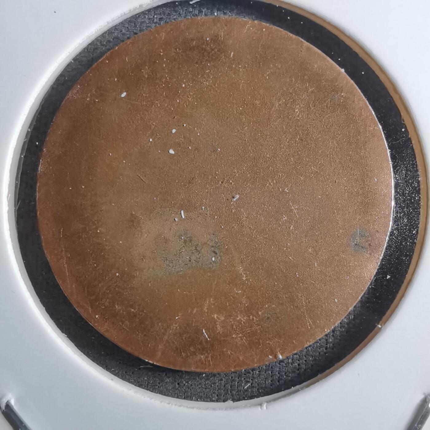 沼泽如烟--第910场 俱乐部章