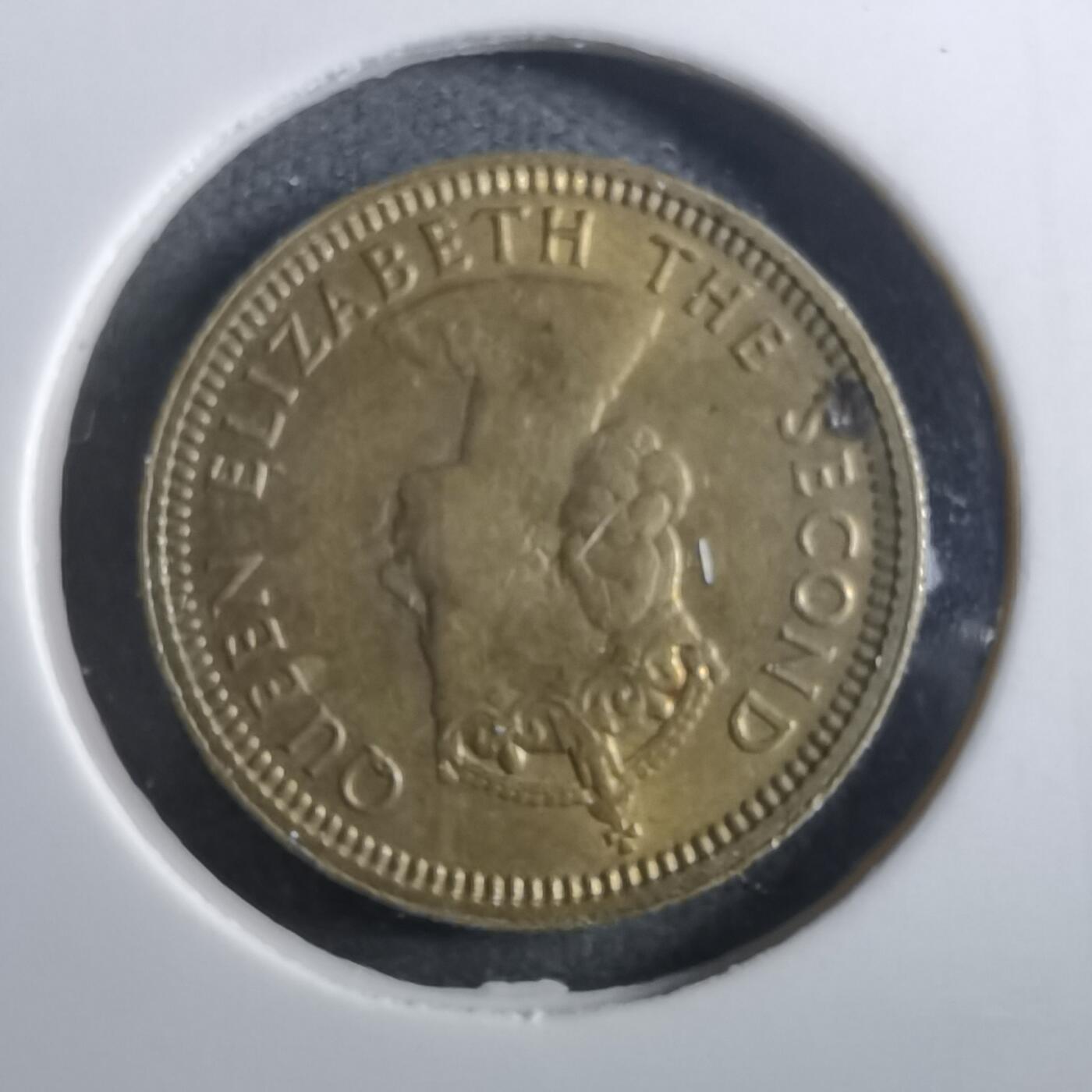 沼泽如烟--第910场 香港1967年五仙