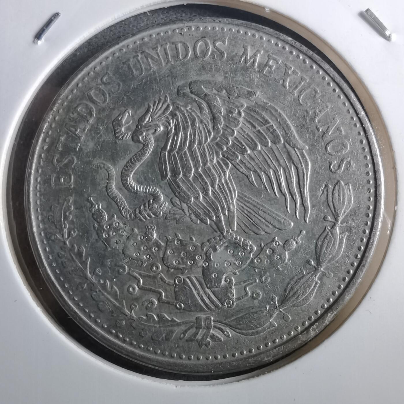 沼泽如烟--第910场