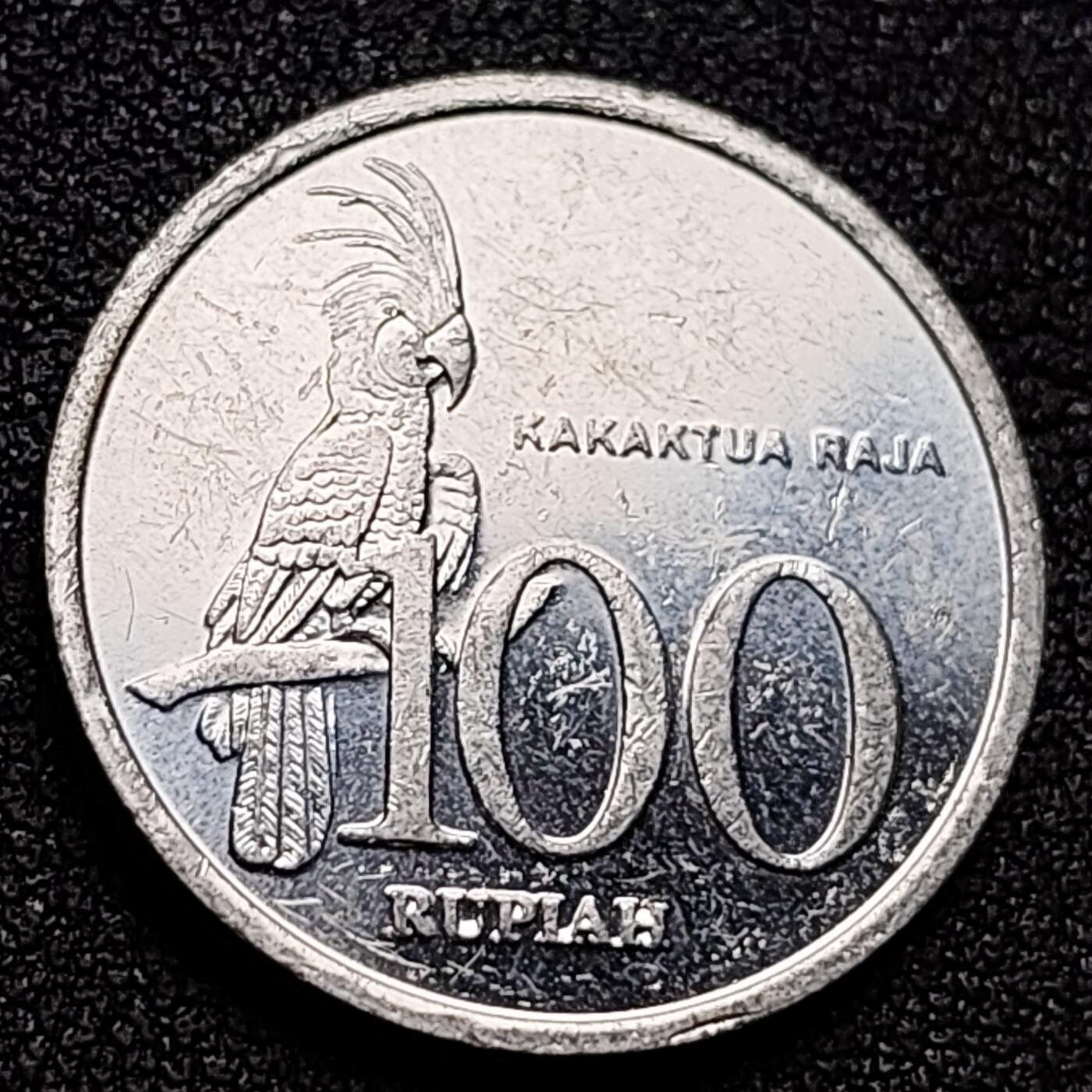 泉币菌-第135场-精品福利场 。