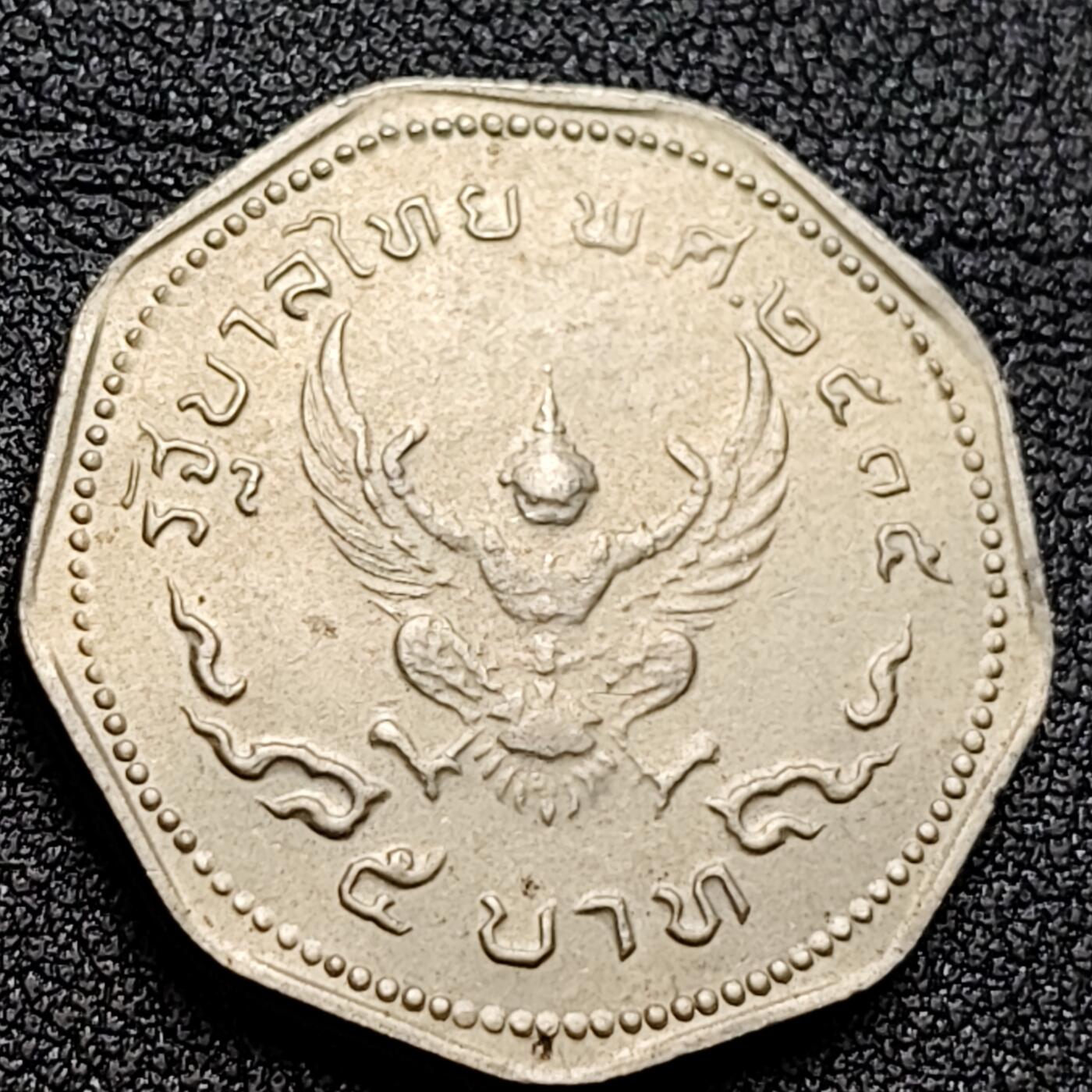 泉币菌-第135场-精品福利场 。