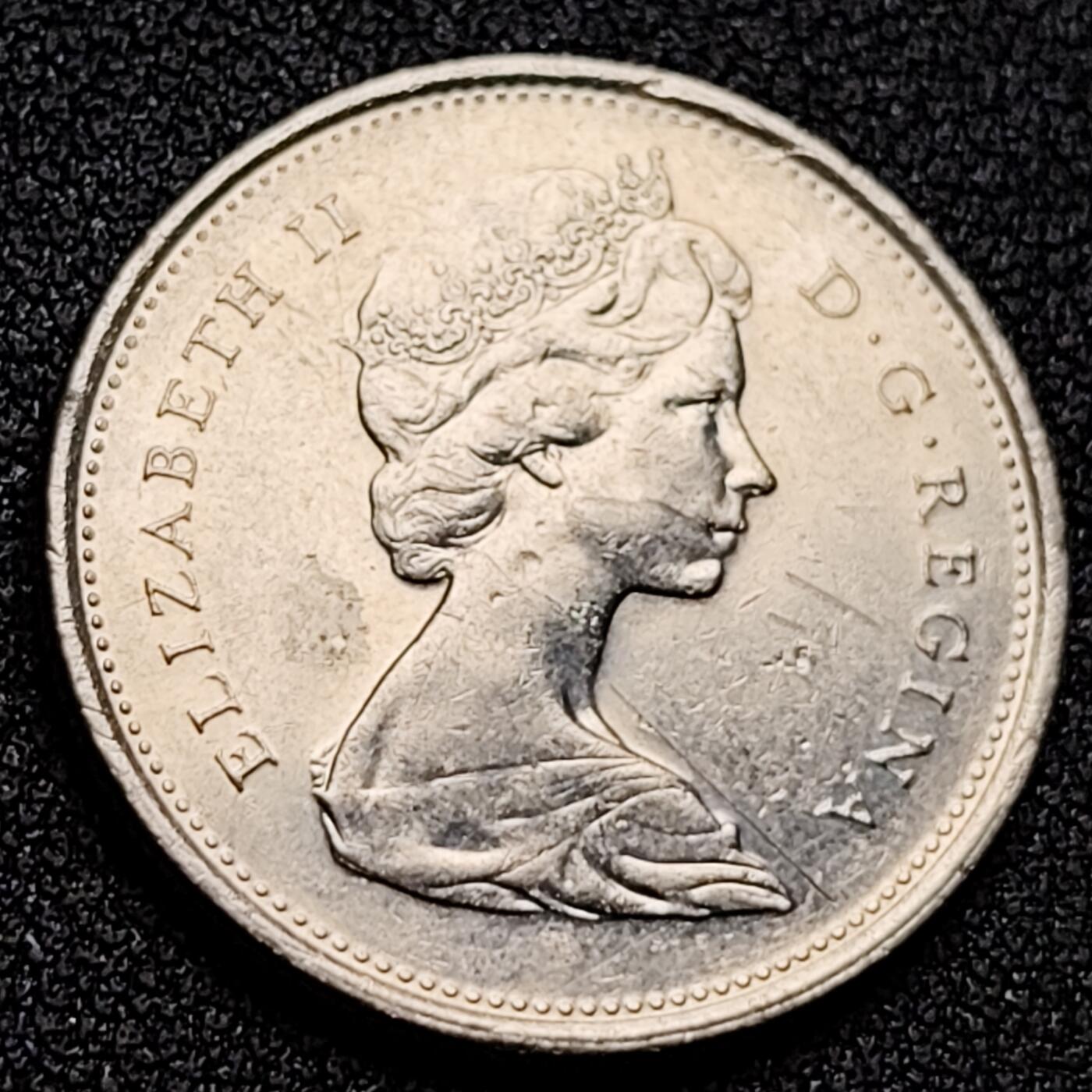 泉币菌-第135场-精品福利场 。