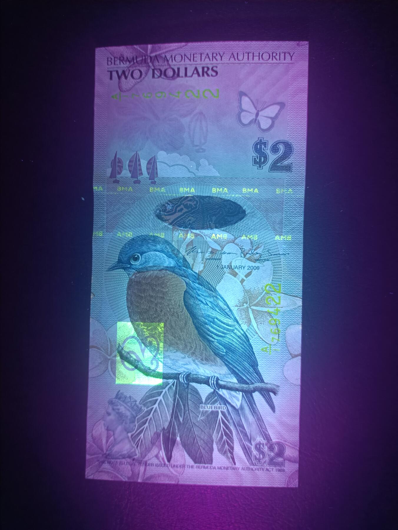 2025十一月第五期，总第203期 百慕大2009版2元实发钞UNC首冠A/1，蓝鸟和杜克港造船厂的钟楼，褶皱和开窗上的细丝是印钞正常工艺，介意勿参拍