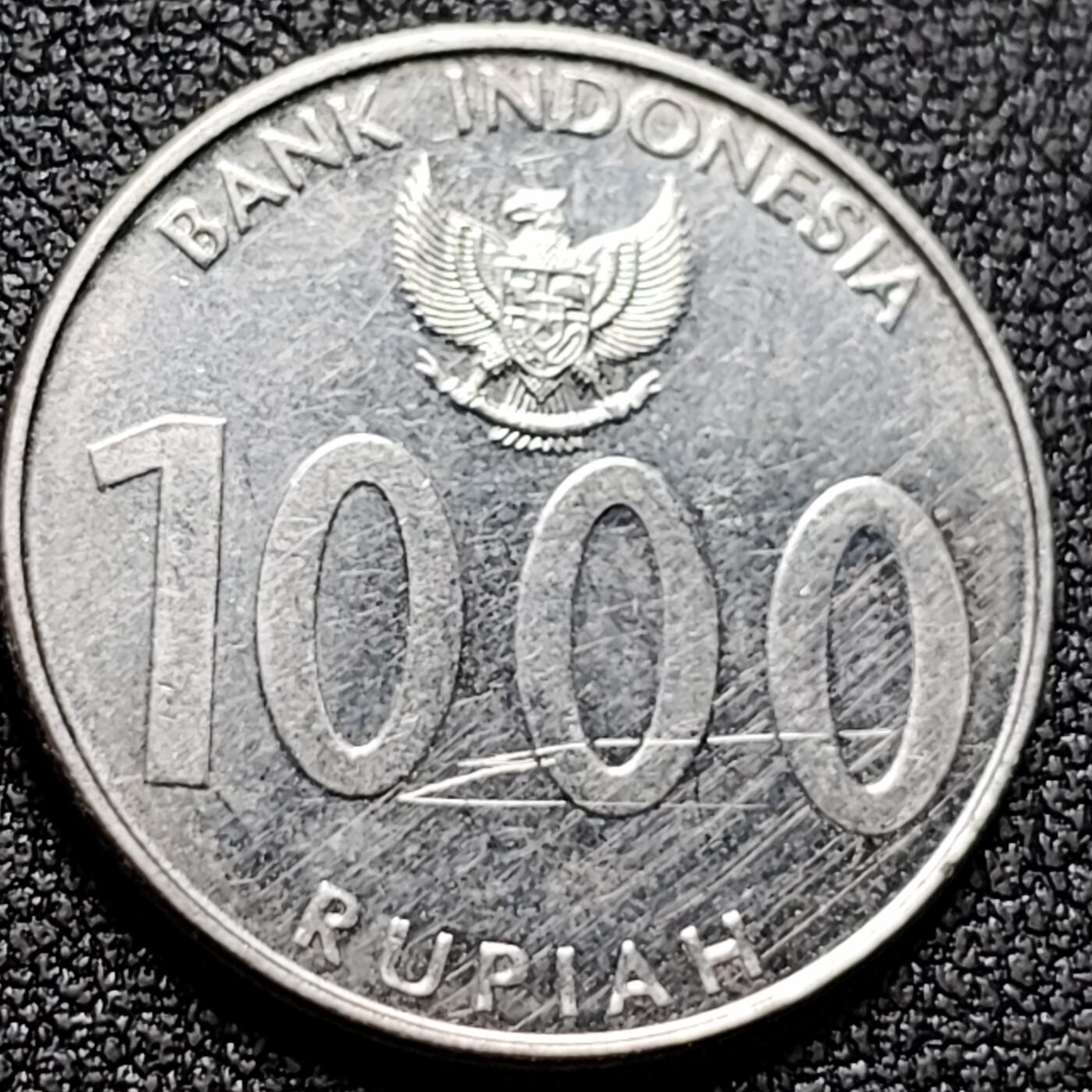 泉币菌-第133场-精品福利场 。