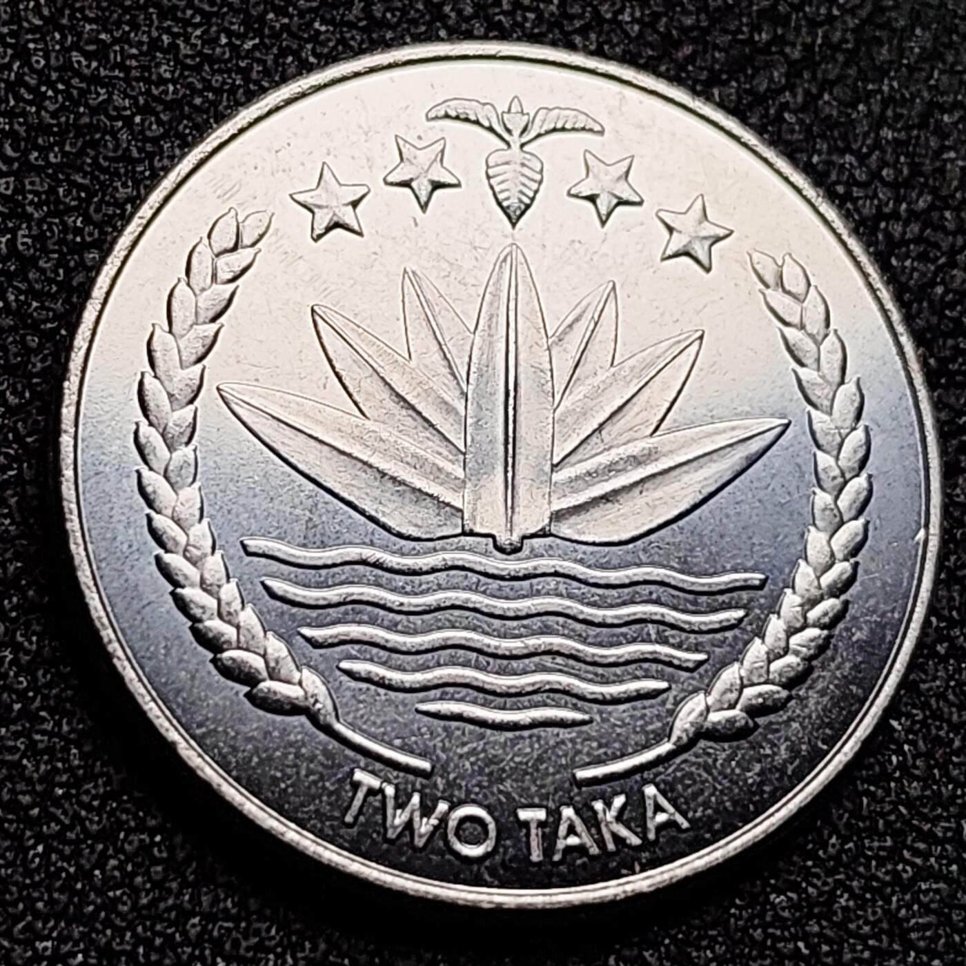 泉币菌-第134场-精品福利场 。