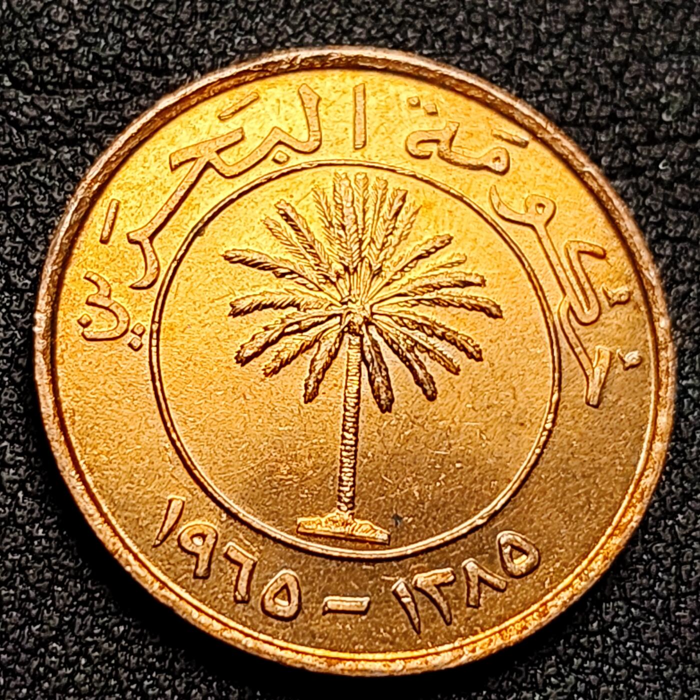 泉币菌-第134场-精品福利场 。